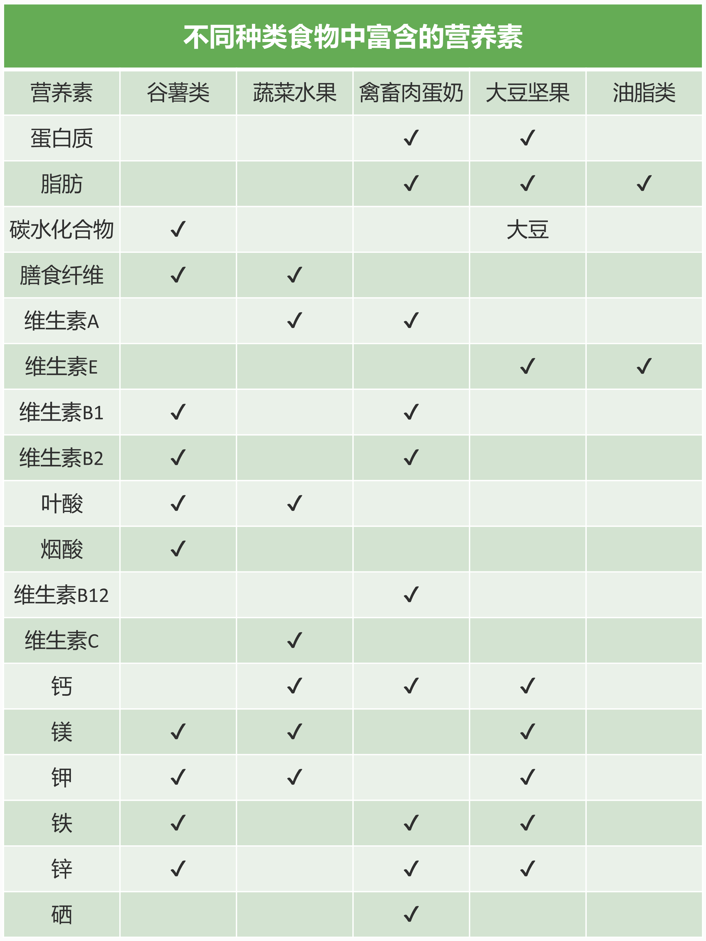 不同种类食物中富含的营养素-1786439763