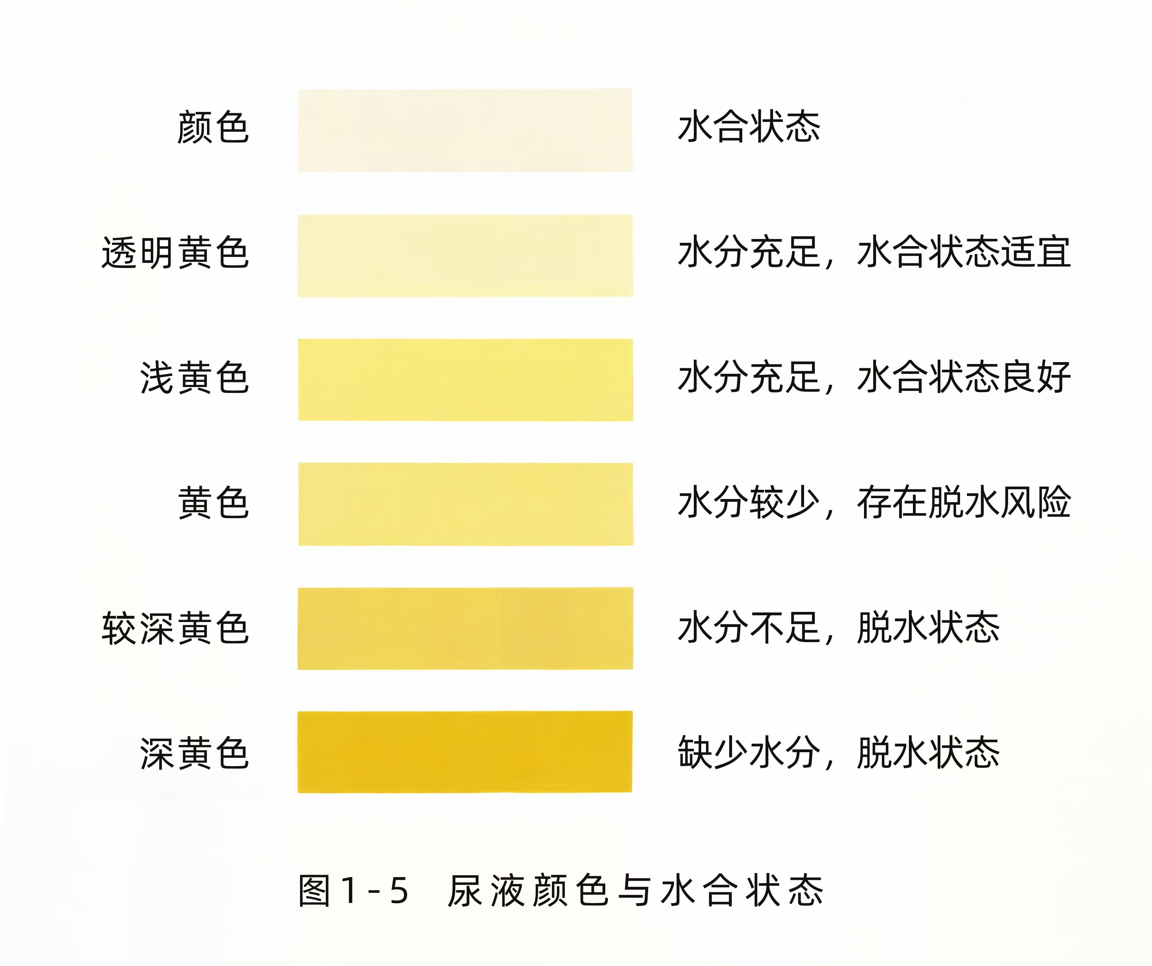 尿液颜色与水合状态-1786455742