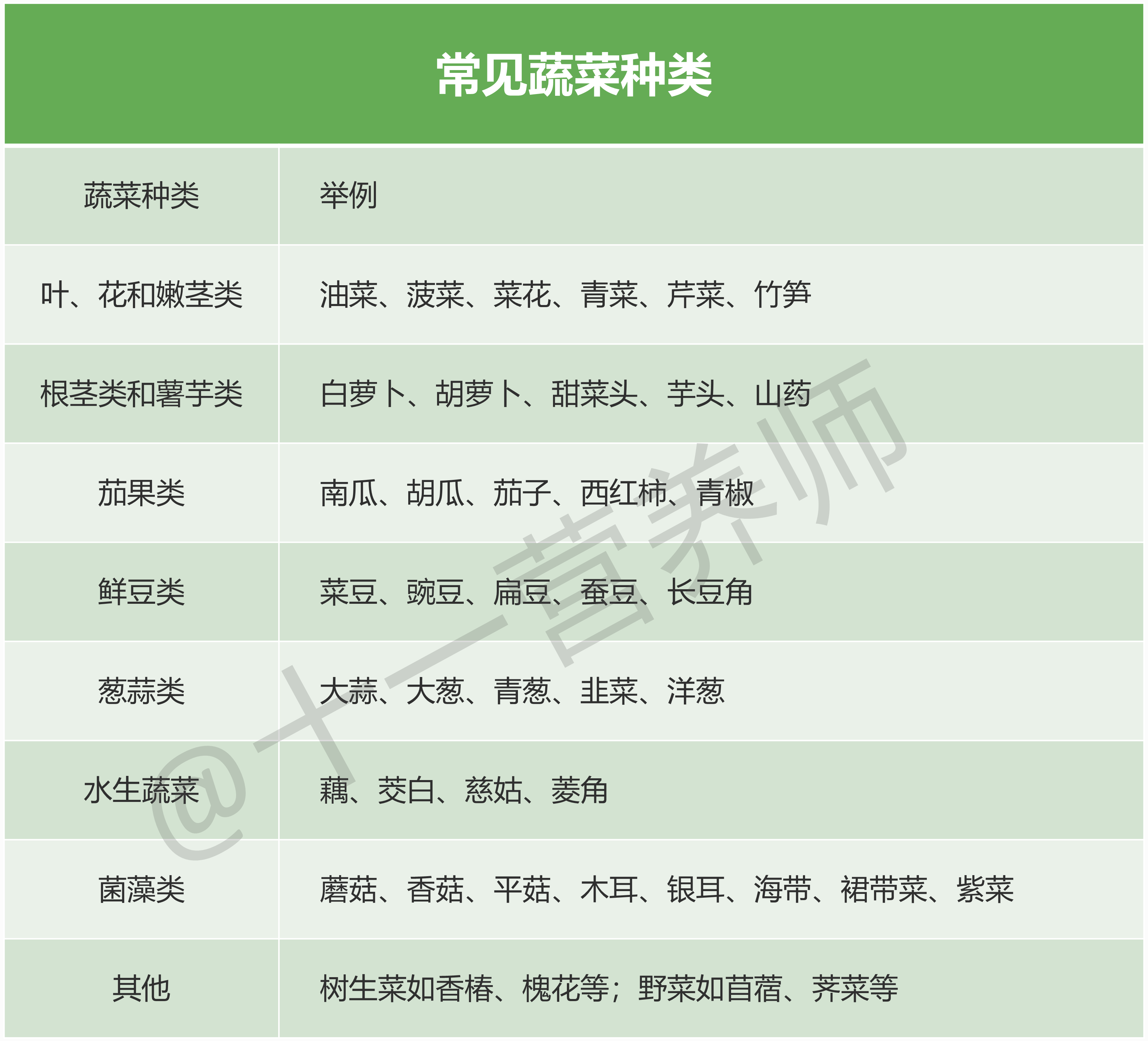 常见蔬菜种类-1786450932