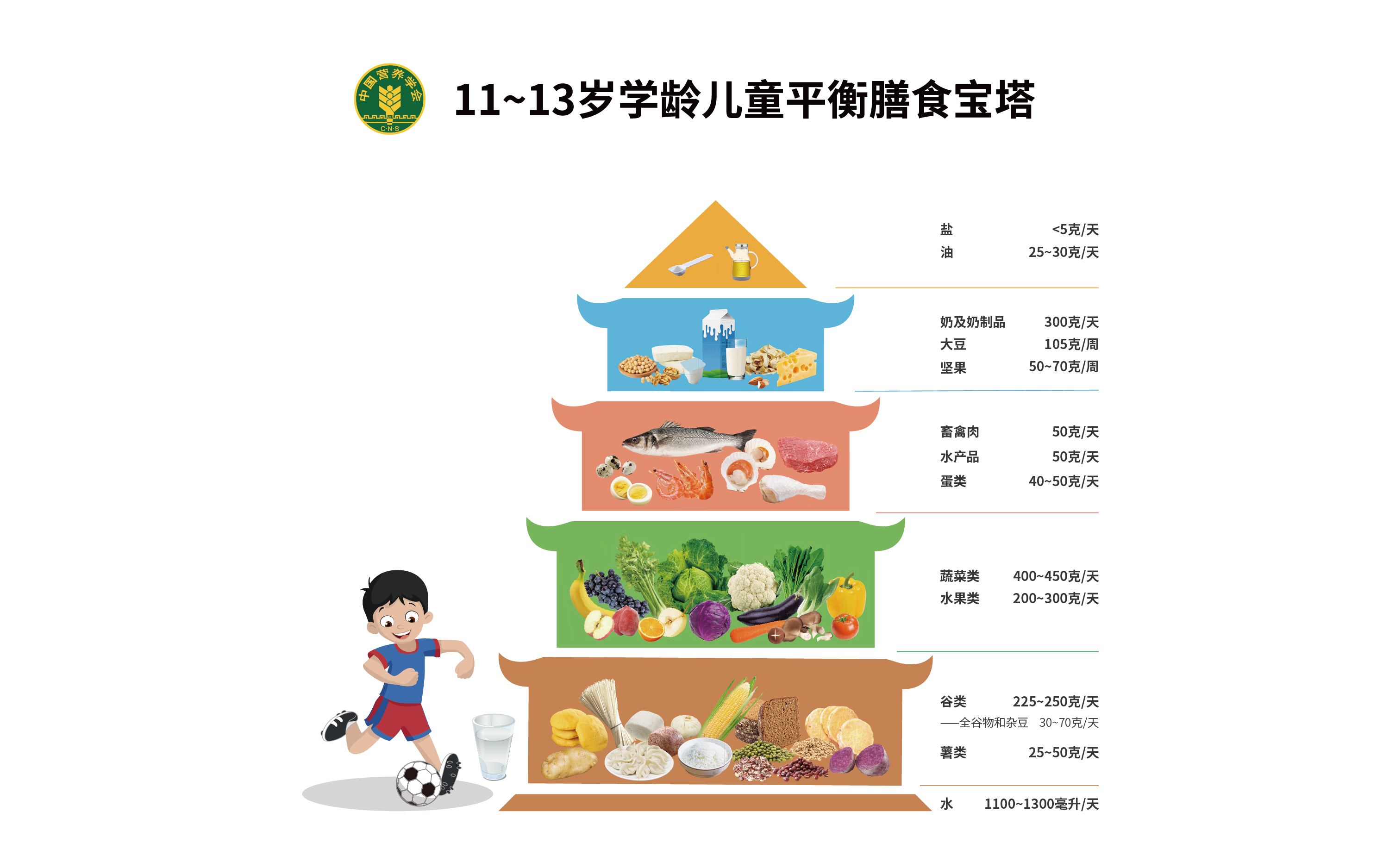 11~13岁膳食宝塔-2022-1786581315