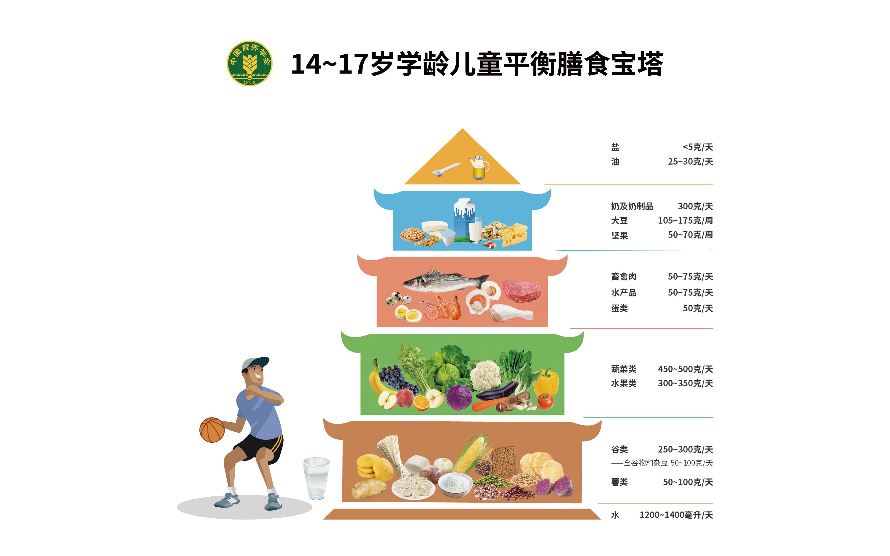 14~17岁膳食宝塔-2022-1786581315