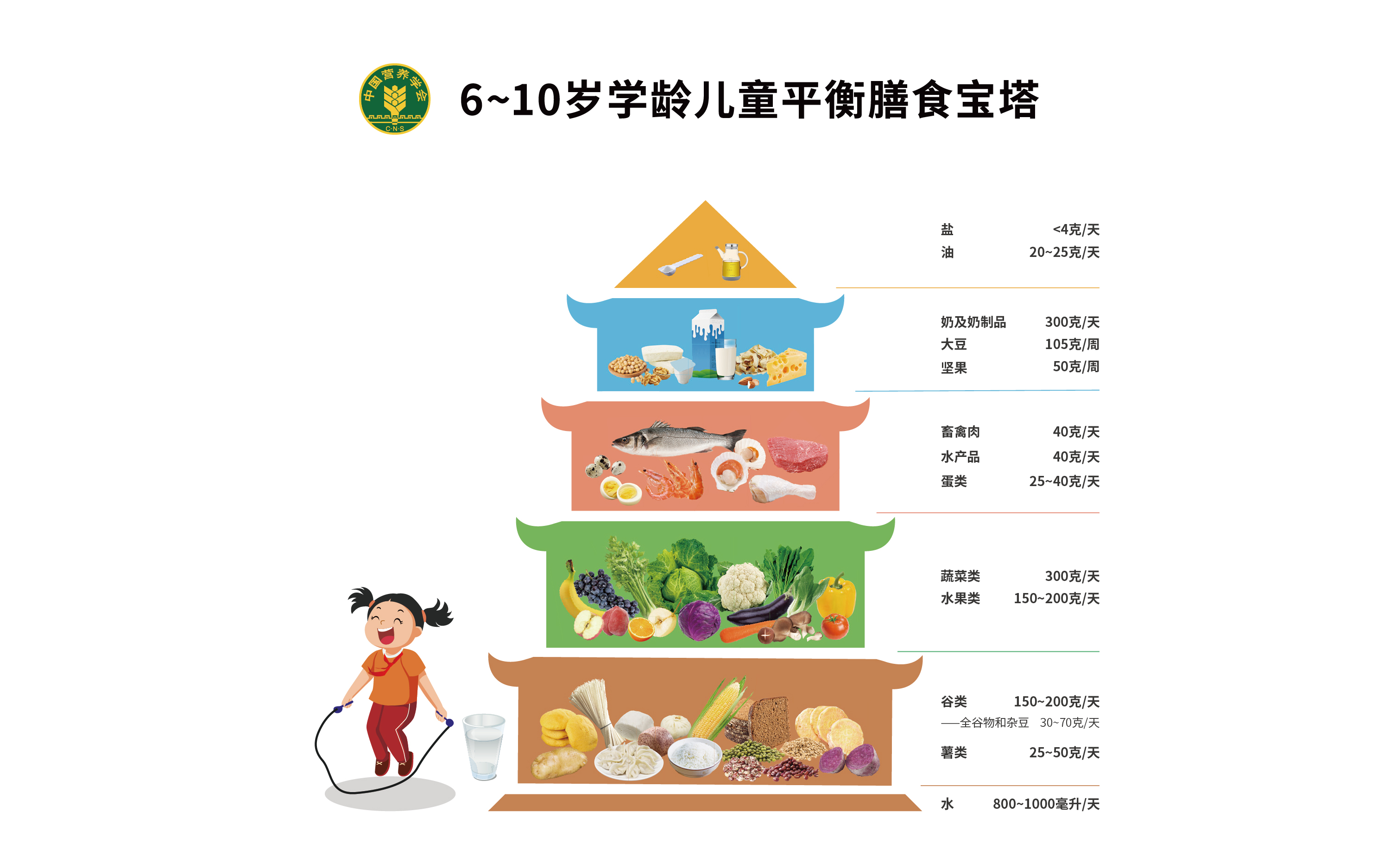 6~10岁膳食宝塔-2022-1786581315